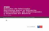 Estudio de Mercado XXX - País - prochile.gob.cl · Estudio de Mercado/Servicios para la Minería: servicios informáticos, de información y licencias en Bolivia/2016 Página 3 3.