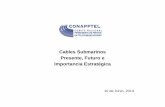 Cables Submarinos Presente, Futuro e Importancia Estratégicaconapptel.org.mx/conferencias/c_submarin.pdf · maximizar el ancho de banda para el acceso a los datos de clientes a través