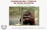 CONSERVACIÓN Y TRÁFICO DE FAUNA SILVESTRE · cóndor andino (Vultur gryphus),