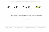 MANEJO POSTCOSECHA DE CEREZAS - genesis.gesex.clgenesis.gesex.cl/GesexIso.nsf/0/64666e9c0494fb2784258057006741fe... · Programación de embalaje y almacenaje de productos hortofrutícolas