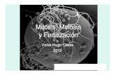 Mitosis, Meiosis y Fertilización - Facultad de Ciencias ... · Mitosis, Meiosis y Fertilización Víctor Hugo Casco 2012 “Labor Improbus Omnia Vincit” (El Trabajo Tenaz Todo