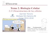 Tema 2. Biología Celulardpbiologia.weebly.com/uploads/2/1/5/5/21553524/gtp_t7.biología... · bipartición o fisión binaria, una vez ocurrida la replicación del ADN. La membrana