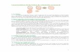 Características de las bolsas de colostomía en generalacademiamengar.es/global/MisArchivos/Documentos/Aux_Enferm_SESPA... · bolsa sobre la base de manera fácil e intuitiva, sólo