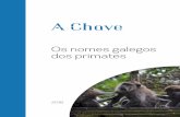 Os nomes galegos dos primates - achave.gal · Así, por exemplo: gorila de Grauer e gorila oriental das chairas para Gorilla ... ou moi parecido significado de negro, é tamén un