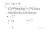 ELETROTÉCNICA -1/32. Força magnetizantedrb-m.org/correnteca/Aula04- Forcas Magneticas.pdf · Força magnetizante Vetor campo magnético indutor ou força magnetizante: • É o