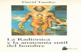 libroesoterico.comlibroesoterico.com/biblioteca/ESPECIALES2/La-radionica-y-la... · David Tansley La Radiónica y la anatomía sutil del hombre irio, s.a. Created Date: 3/19/2011