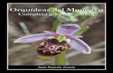 Orquídeas del Moncayo - orchium.com · naturalista de campo, sobre todo centrados en las orquídeas, uno de los más bellos y abundantes grupos florísticos, fruto de uno de los