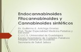Endocannabinoides Fitocannabinoides y Cannabinoides sintéticos · México, de centro-américa Actualmente 11 especies y demás subespecies Santa Martha Gold ( Sativa) ... CB1 se