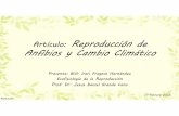 Artículo: Reproducción de Anfibios y Cambio Climáticosgpwe.izt.uam.mx/.../9_expo_articulo_ecofisiologia_Ireri_Fragoso.pdf · Los anfibios pueden ser especialmente susceptibles