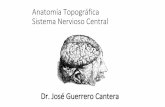 Anatomía Topográfica Sistema Nervioso Central · Giro poscentral A. Sensorial primaria 3,2,1 Lóbulo Parietal Superior Areas de asociación primarias 5,7 Lóbulo Parietal Inferior