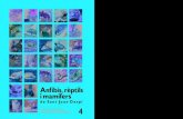 Anfibis rèptils i mamífers - sjdespi.net · Relació d’espècies AMFIBIS 1. Granota comuna Rana perezzi RÈPTILS 2. Tortuga de rierol Mauremys leprosa 3. Tortuga de Florida Trachemys