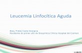 Leucemia Linfocítica Aguda - abm.org.ar · Paciente de 19 años ingresa el día 3/7/2015 a la guardia del Hospital del Carmen por presentar astenia severa acompañado de un síndrome