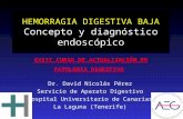 CASO CLINICO - SCPD Sociedad Canaria de Patología Digestiva · PPT file · Web view2004-12-12 · Title: CASO CLINICO Author: DAVID NICOLAS PEREZ Last modified by: DAVID NICOLAS