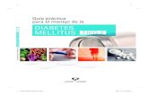 DIABETES MELLITUS TIPO 2 - ciberisciii.es · Guía práctica para el manejo de la Diabetes Mellitus tipo 2 00 Gui Guíáa Diabetes Mellitus 2.indd 3 Diabetes Mellitus 2.indd 3 199//1111/155