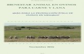 BIENESTAR ANIMAL EN OVINOS PARA CARNE Y LANA · pasturas naturales, con ovinos y bovinos pastando en forma conjunta. En 2015 Uruguay tenía 6.452 millones de ovinos, 11.876 millones