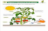 Ficha educativa deL Jardín Botánico chaguaL Órganos y ... · y semillas que comemos y la reproducción de las plantas. La forma, los colores y el aroma de las flores atraen a los