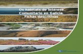 Os hábitats de Interese Comunitario en Galicia. Fichas descritivas · 2017-06-07 · A vexetación característica deste tipo de hábitat presenta un baixo porte (8-10 cm.) e pouca