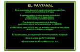 EL PANTANAL PANTANAL.pdf · EL PANTANAL Es un ecosistema único en el mundo cubriendo una superficie grande como la mitad de la Francia. El pantanal palabra traduce pantano, en realidad,