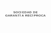 SOCIEDAD DE GARANTÍA RECÍPROCA - marcelodelfino.netmarcelodelfino.net/files/V.pdf · NOTA: El capital social mínimo para su constitución es de doscientos cuarenta mil pesos $