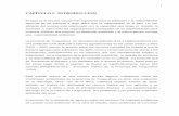 CAPÍTULO I. INTRODUCCION - Repositorio Digital - EPN ...bibdigital.epn.edu.ec/bitstream/15000/8196/3/CD-0233.pdf · Por norma constitucional el Estado es el responsable de establecer