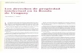 Los d~rechos de propiedad intelectual en la Rondarevistas.bancomext.gob.mx/rce/magazines/173/3/RCE3.pdf · • ¿Por qué los países desarrollados guardan total hermetismo respecto