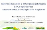 Intercooperación e Internacionalización de Cooperativas: … · 92,9 mi . 66,9 mi . C . D/E . Dados: Relatório Observador Brasil 2010 . Brasil . Mobilidad Social 2003 - 2009 .