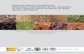 Especies leñosas alimenticias - core.ac.uk · Especies leñosas alimenticias: 1 i Utilización y apreciación de las amenazas en dos regiones agroecológicas de Níger (África del