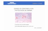 XXVII REUNIÓN ANUAL DE LA S.E.A.P. PATOLOGÍA DE MAMA. · van diest pj et al. pathological investigation of sentinel lymph nodes. ... 2001. • turner rr et al ... valor predictivo