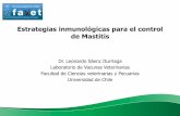 Estrategias inmunológicas para el control de Mastitis · • PRR en Células Dendríticas y Macrófagos, reconocen moléculas particulares de las bacterias y otros patógenos, denominadas
