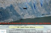 El efecto de la Represa NK en los glaciares del Lago ... · •Perito Moreno •Spegazzini • ... Se sitúa a 5 km del punto crítico (cierre en margen opuesto) 2. La presión hidráulica