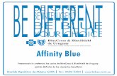 Affinity Blue - bcbsu.com.uy · Gimnasia preventiva, combinación de body balance (yoga, tai chi y pilates) ... Mahatma Gandhi y Parva Domus Tel.: 2710 2000* Sobre tarifas rack en