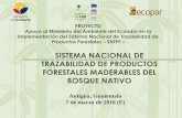 SISTEMA NACIONAL DE TRAZABILIDAD DE PRODUCTOS FAO FLEGT... · PDF fileEstrategia operativa Equipo del Proyecto de Trazabilidad: MAE - ECOPAR COMITÉ TÉCNICO DE TRAZABILIDAD: MAE