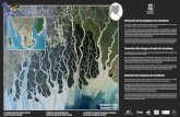 Destrucción de los manglares en los Sundarbans - UNESCO · Bangladesh - India Bangladesh - Inde Destrucción de los manglares en los Sundarbans La imagen de satélite muestra la