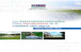 Macroinvertebrados como Bioindicadores de la - ianas.org · JUAN CARLOS RAMOS FLÓREZ ... En el laboratorio ... En la jurisdicción de la CAR existen eco-sistemas hídricos que incluyen
