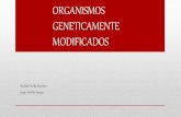ORGANISMOS GENETICAMENTE MODIFICADOS · •Plantas resistentes al glifosato. ... propio del Agrobacterium en las células de plantas de tabaco y así la planta ... •Papa resistente