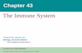 The Immune System - se7dc3f022591d56a.jimcontent.com · LE 43-2 Microorganismos Invasores (patógenos)) Defensas externas Piel Membranas mucosas secreciones INMUNIDAD INNATA Respuestas