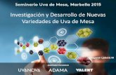Presentación de PowerPoint - adama.comLJUBETIC-UV... · TITULO PROYECTO Etapas de la Investigación y Desarrollo de Nuevas Variedades 1.- P.F. ó Primera Fruta 2.- Status 1 de Evaluación