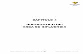CAPITULO 4 DIAGNOSTICO DEL AREA DE INFLUENCIA · Repavim. y Mejoramiento RP 307: Tramo Acheral – Tafí del Valle Estudio de Impacto Ambiental – CAPITULO 4