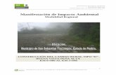 Manifestación de Impacto Ambiental - SINATsinat.semarnat.gob.mx/dgiraDocs/documentos/pue/estudios/2010/21PU... · 2 Tel: 044 22 21 32 50 31 y (01246) 49 7 42 80 servicio_ambiental@hotmail.com