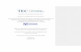 INSTITUTO TECNOLÓGICO DE COSTA RICA ESCUELA DE ... · instituto tecnolÓgico de costa rica escuela de administraciÓn de empresas actualizaciÓn de perfiles del manual descriptivo