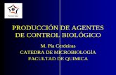 M. Pía Cerdeiras CATEDRA DE MICROBIOLOGÍA FACULTAD … · producciÓn de agentes de control biolÓgico m. pía cerdeiras catedra de microbiologÍa facultad de quimica