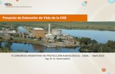 Proyecto de Extensión de Vida de la CNE - X Congreso ... Congreso Argentino... · Corte de tambor de vapor y corte, ... •Todos los componentes de reemplazo de Turbina, ... fabricación,