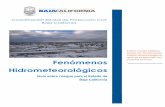 Información básica sobre los fenómenos hidrometeorológicos ... · Coordinación Estatal de Protección Civil Fenómenos hidrometeorológicos 2 Índice Presentación 4 Fenómenos