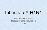 Influenza A H1N1 - elizalde.gob.ar · Evaluación de una pandemia • La gravedad global de una pandemia de gripe, medida por el número de muertes y de casos graves, depende principalmente