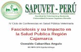 Fasciolosis y su Impacto en la Salud Publica Región Cajamarcasapuvetnet.org/Teaching Materials/Works of Interess/Conferencia de... · Impacto de la fasciolosis en la Salud Publica
