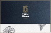 TREN MAYA - ceiba.org.mx · Actualmente, México ocupa el sexto lugar en el ranking mundial de turismo. Las zonas arqueológicas de la región maya son algunos de los destinos más