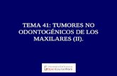 TEMA 41: TUMORES NO ODONTOGÉNICOS DE LOS …ocw.uv.es/ciencias-de-la-salud/cirugia-bucal/34715mats41.pdf · Hemangioma Angiosarcoma 4.-Tumores de los maxilares: vasculares . HEMANGIOMAS