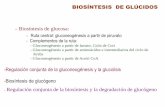 Biosíntesis de glucosa - ecaths1.s3.amazonaws.comecaths1.s3.amazonaws.com/organicaybiologica/301275860.Unidad 14... · - Gluconeogénesis a partir de lactato. Ciclo de Cori - Gluconeogénesis