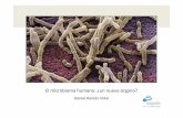 El microbioma humano: ¿un nuevo órgano?quintocongreso.socinorte.com/wp-content/uploads/2016/03/16-03-17... · Los microorganismos • Los microorganismos son pequeños seres vivos