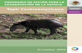 Tapir Centroamericano - gob.mx · El tapir centroamericano (Tapirus bairdii), también conocido como danta, anteburro o tapir mesoamericano, es el mamífero terrestre nativo más